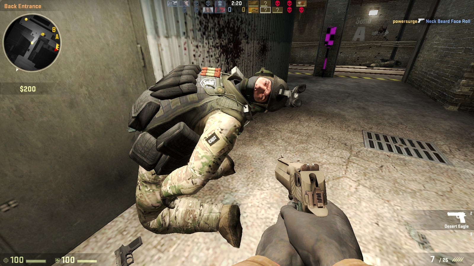 de_train0000.jpg