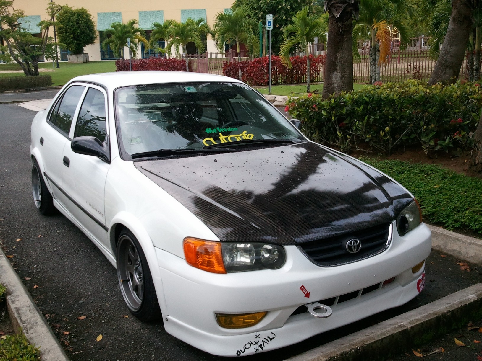 WP_000907.jpg